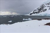 by kiwiaoraki, Views[160]