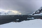by kiwiaoraki, Views[155]