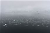 by kiwiaoraki, Views[367]