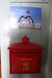 by kiwiaoraki, Views[131]