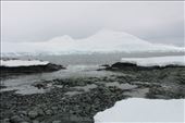 by kiwiaoraki, Views[324]