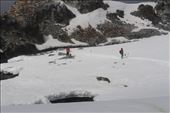 by kiwiaoraki, Views[303]