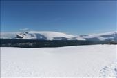 by kiwiaoraki, Views[149]