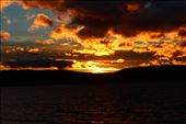 by kiwiaoraki, Views[343]