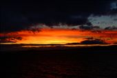 by kiwiaoraki, Views[645]