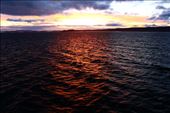 by kiwiaoraki, Views[674]