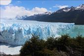 by kiwiaoraki, Views[363]