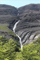 by kiwiaoraki, Views[318]