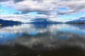 by kiwiaoraki, Views[375]