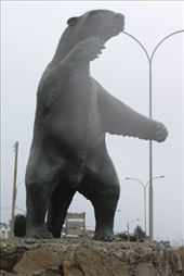 by kiwiaoraki, Views[637]