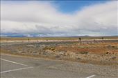 by kiwiaoraki, Views[439]