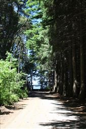 by kiwiaoraki, Views[362]