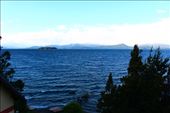by kiwiaoraki, Views[425]
