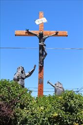 by kiwiaoraki, Views[394]