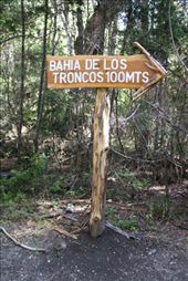 by kiwiaoraki, Views[382]