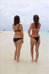 by kiwiaoraki, Views[145]