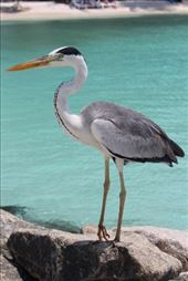 by kiwiaoraki, Views[120]