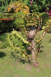 by kiwiaoraki, Views[139]