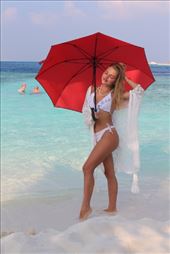 by kiwiaoraki, Views[153]