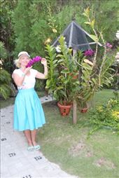 by kiwiaoraki, Views[235]