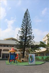 by kiwiaoraki, Views[271]