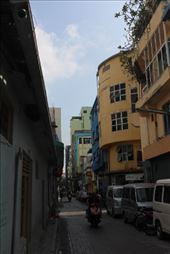 by kiwiaoraki, Views[207]