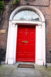 by kiwiaoraki, Views[300]