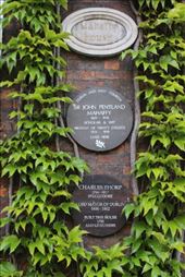 by kiwiaoraki, Views[299]