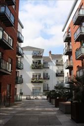 by kiwiaoraki, Views[142]