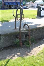 by kiwiaoraki, Views[152]