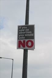 by kiwiaoraki, Views[170]