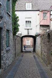 by kiwiaoraki, Views[243]