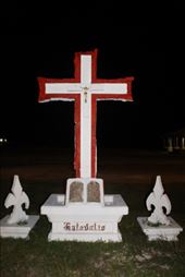 by kiwiaoraki, Views[141]