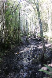 by kiwiaoraki, Views[283]