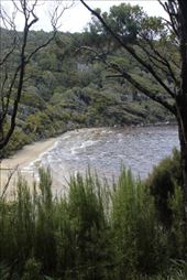 by kiwiaoraki, Views[270]