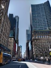 by kiwiaoraki, Views[86]