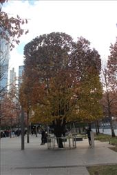 by kiwiaoraki, Views[282]