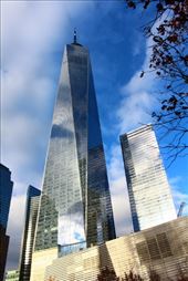 by kiwiaoraki, Views[261]