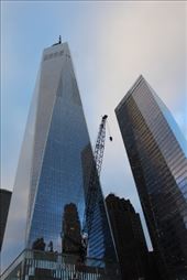 by kiwiaoraki, Views[159]