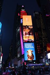 by kiwiaoraki, Views[142]