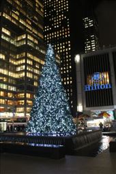 by kiwiaoraki, Views[149]