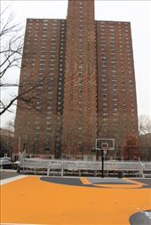 by kiwiaoraki, Views[161]