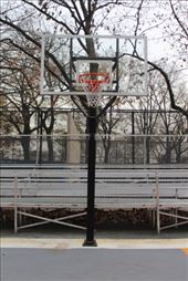 by kiwiaoraki, Views[182]