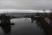 by kiwiaoraki, Views[310]