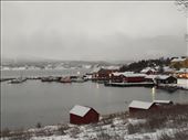 by kiwiaoraki, Views[512]