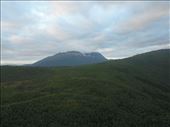 by kiwiaoraki, Views[98]
