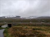 by kiwiaoraki, Views[62]