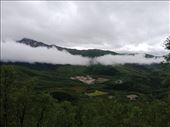 by kiwiaoraki, Views[92]
