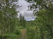 by kiwiaoraki, Views[72]
