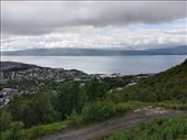 by kiwiaoraki, Views[76]